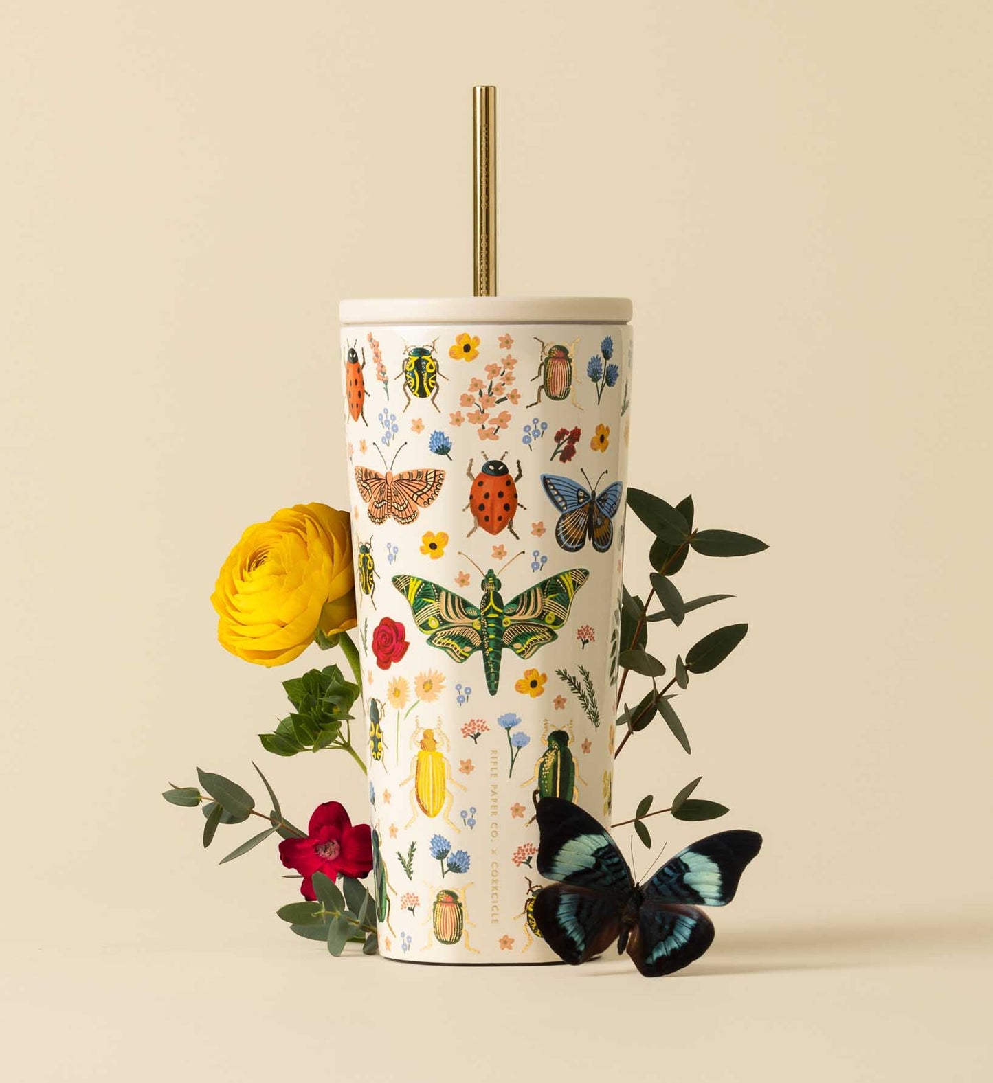24 oz. Cold Cup - Curio